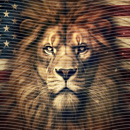 20oz integrate-EJ-10636